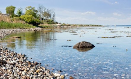 'Titta' - 10m to the fjord 2