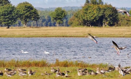 'Margareta' - 250m to the fjord 4