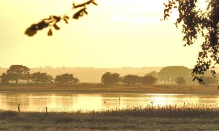 'Margareta' - 250m to the fjord 3