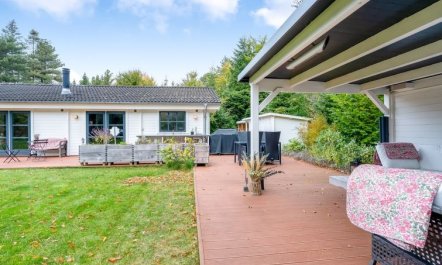 'Wolfger' - 250m from the sea 3