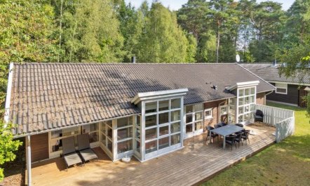 'Dorit' - 600m from the sea 5