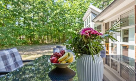 'Dafne' - 600m from the sea 5