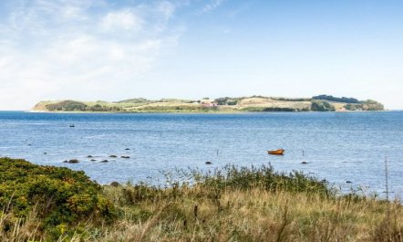 'Varma' - 25m from the sea 4