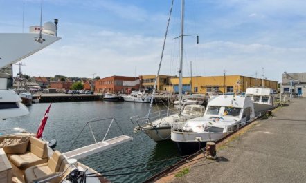 'Ginie' - 70m from the sea 6