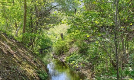 'Thora' - 800m from the sea 2