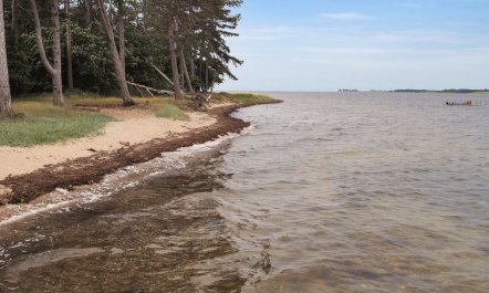 'Jeip' - 400m to the fjord 7