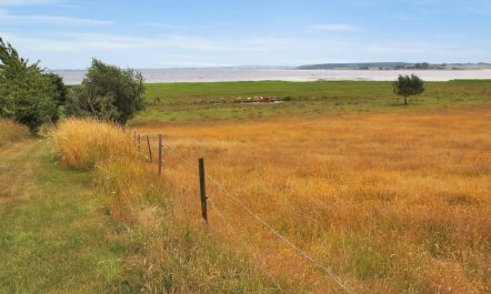 'Jeip' - 400m to the fjord 4