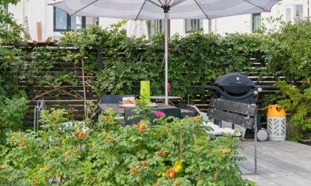 'Habbo' - 300m from the sea 1