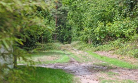 'Rina' - 250m from the sea 5