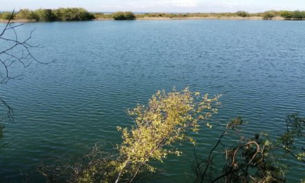 'Rina' - 250m from the sea 3