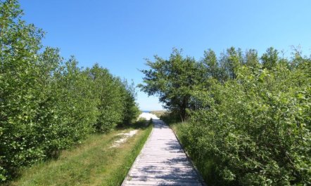 'Amaru' - 500m from the sea 2