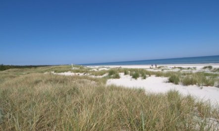 'Amaru' - 500m from the sea 1