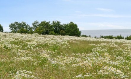 'Ejna' - 400m from the sea 5