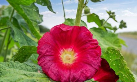 'Ejna' - 400m from the sea 2