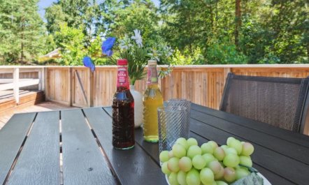 'Nea' - 600m from the sea 3