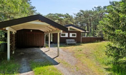 'Bothilda' - 950m from the sea 6