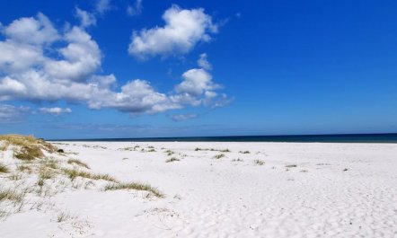 'Bothilda' - 950m from the sea 4