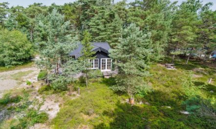 'Reinke' - 450m from the sea 5