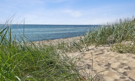 'Reinke' - 450m from the sea 3