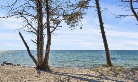 'Reinke' - 450m from the sea 2