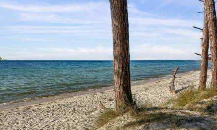 'Elsia' - 280m from the sea 2