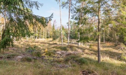 'Jaarne' - 800m from the sea 6