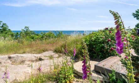 'Seetje' - 200m from the sea 5