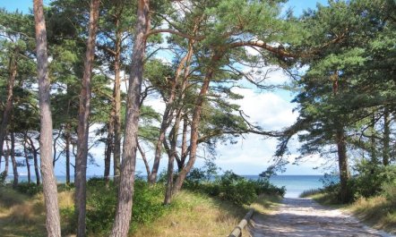 'Ignat' - 175m from the sea 5