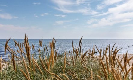 'Solfred' - 200m from the sea 2