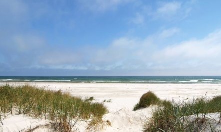 'Georg' - 300m from the sea 3