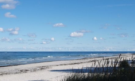 'Adelbrand' - 400m from the sea 2