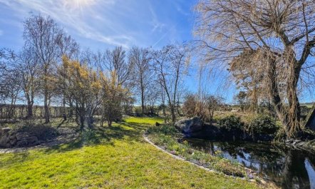 'Singa' - 600m from the sea 5