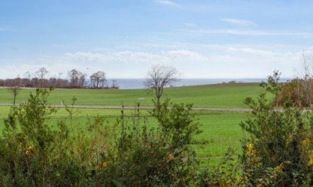 'Torbjörn' - 2.5km from the sea 2