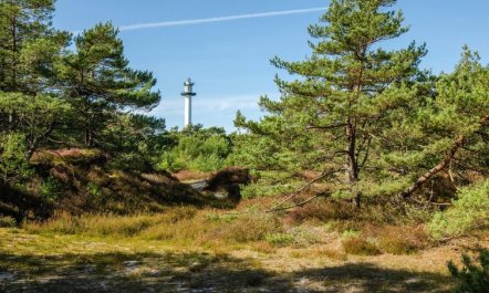 'Elza' - 800m from the sea 5