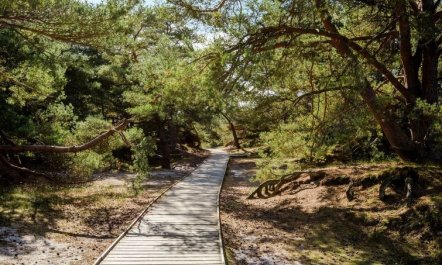 'Elza' - 800m from the sea 4