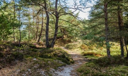 'Elza' - 800m from the sea 3