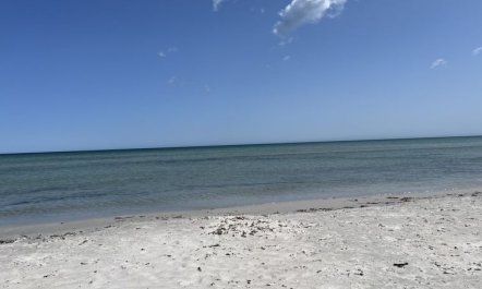 'Alica' - 200m from the sea 0