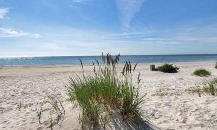 'Windelgard' - 140m from the sea 2