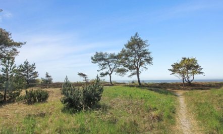 'Eick' - 800m from the sea 7