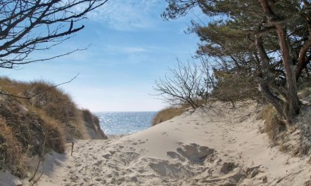 'Olla' - 400m from the sea 3