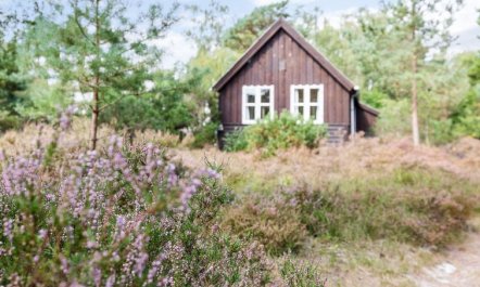 'Læff' - 50m from the sea 6