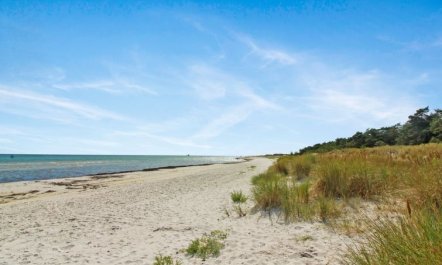 'Læff' - 50m from the sea 5