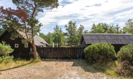 'Læff' - 50m from the sea 3