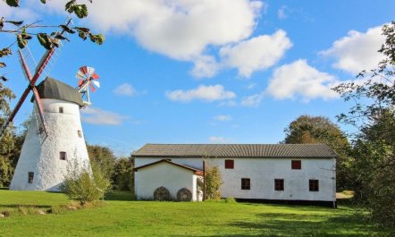 'Kolle' - 3.2km from the sea 4