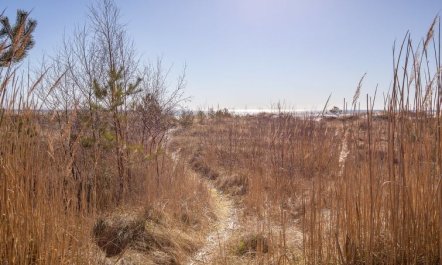 'Unto' - 25m from the sea 5