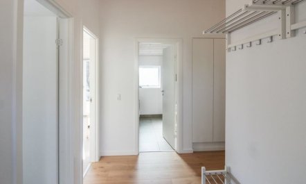 'Oke' - 350m from the sea 6