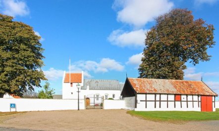 'Iivo' - 350m from the sea 4