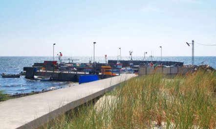 'Iivo' - 350m from the sea 2