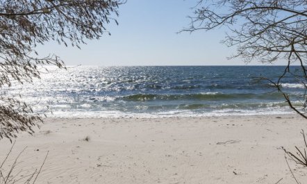 'Gottfrieda' - 300m from the sea 3