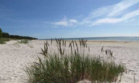 'Patti' - 150m from the sea 1